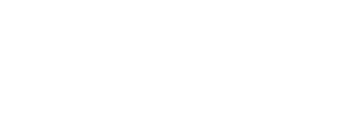 light logo